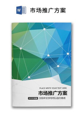彩色簡約市場營銷策劃方案活動策劃報告